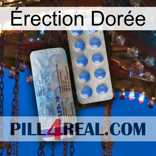 Érection Dorée 39
